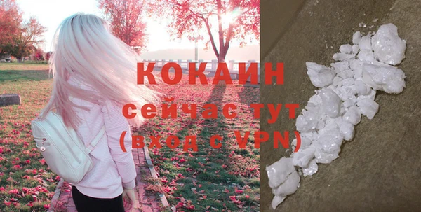 стафф Богданович