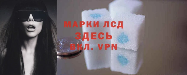 стафф Богданович