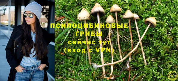 COCAINE Богородицк