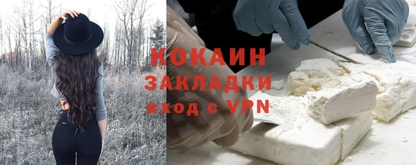 стафф Богданович